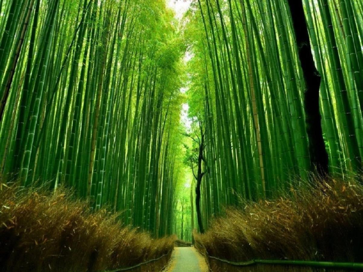 鴨川 栄の屋 Kamo River Machiya Halo House Kyoto Ngoại thất bức ảnh
